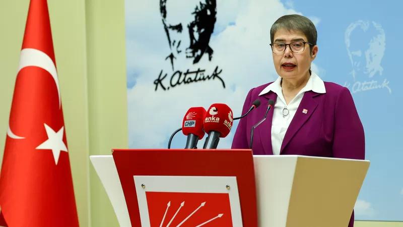 Chp’li Zeliha Aksaz Şahbaz’dan,”Down sendromlular günü” açıklaması