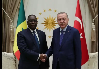 Cumhurbaşkanı Erdoğan, eski Senegal Cumhurbaşkanı Sall ile telefonda görüştü