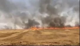 Şırnak’ta anız yangını kontrol altına alındıktan sonra yeniden alevlendi: 7 köy etkilendi!