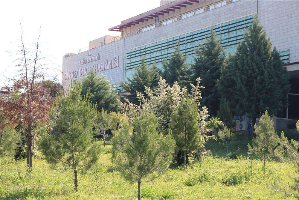 Şanlıurfa’da domuz saldırısına uğrayan çiftçi ağır yaralandı