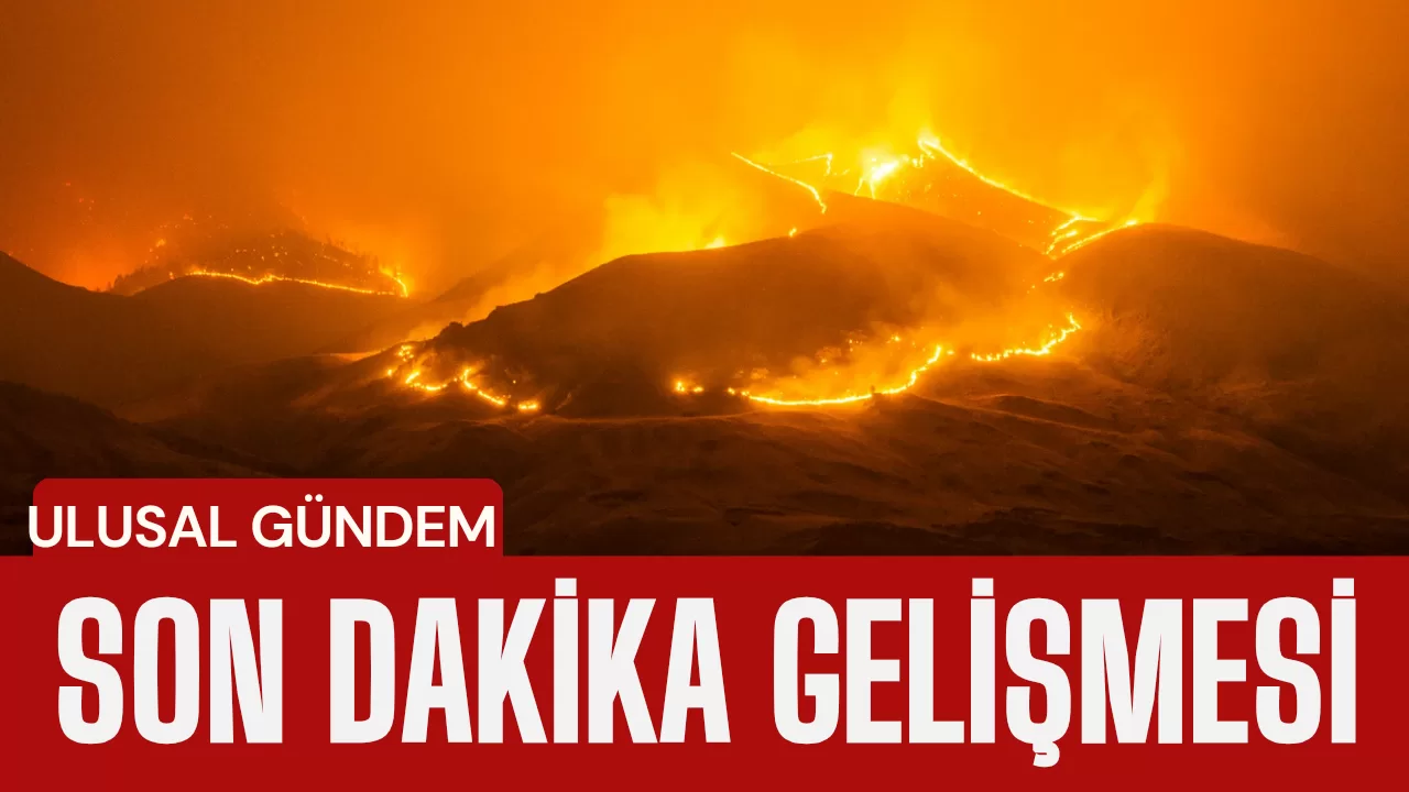 Şanlıurfa’da MİT ve Jandarma’dan ortak operasyon: 9 insan kaçakçısı yakalandı