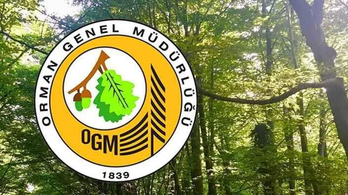 Orman Genel Müdürlüğü 4500 geçici işçi alacak