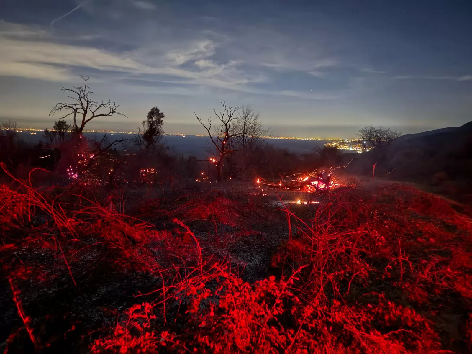 Yalova’da orman yangını kontrol altına alındı