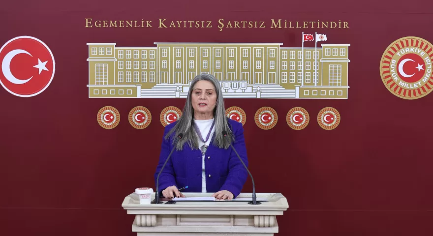 CHP milletvekili Suiçmez: “Kadına yönelik şiddet ve ayrımcılık artıyor”