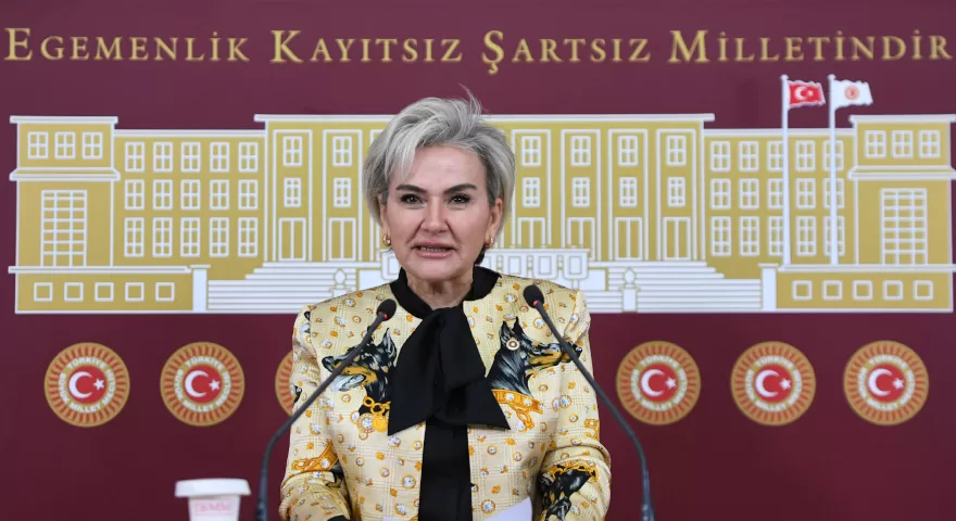 CHP milletvekili Özdemir’den hayvanlara yönelik şiddeti önlemeye yönelik kanun teklifi