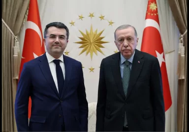 Cumhurbaşkanı Erdoğan, MGK genel Sekreteri Memiş’i kabul etti