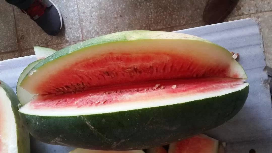 Şanlıurfa’nın ata tohumları tarım Kredi marketlerinde satışa çıktı