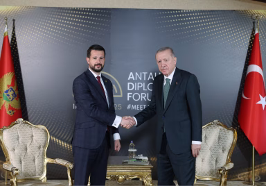 Cumhurbaşkanı Erdoğan, Karadağ Cumhurbaşkanı Milatoviç ile görüştü