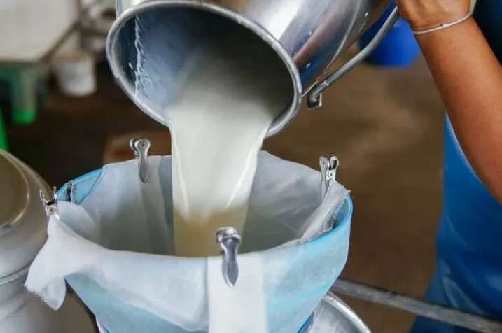 2024’te çiğ süt üretimi 22,5 milyon tona ulaştı!