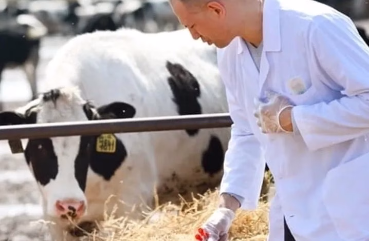 H-ÜFE’de yıllık en büyük artış veterinerlik hizmetlerinde gerçekleşti