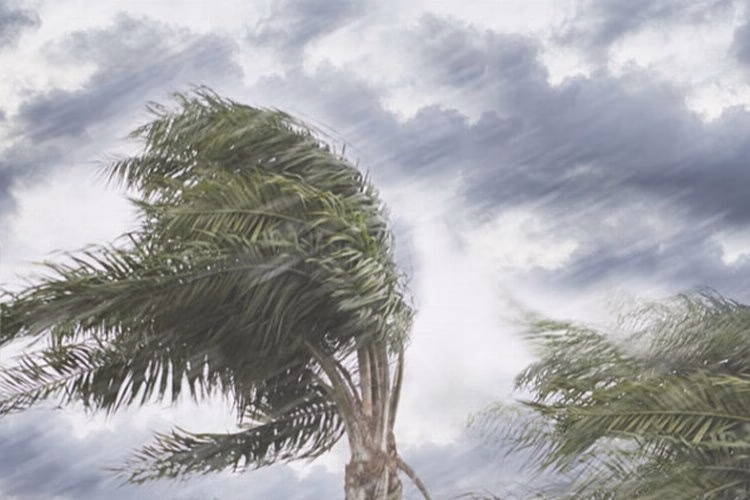 Meteoroloji’den uyarı geldi: Kuvvetli rüzgar ve yüksek sıcaklık etkili olacak