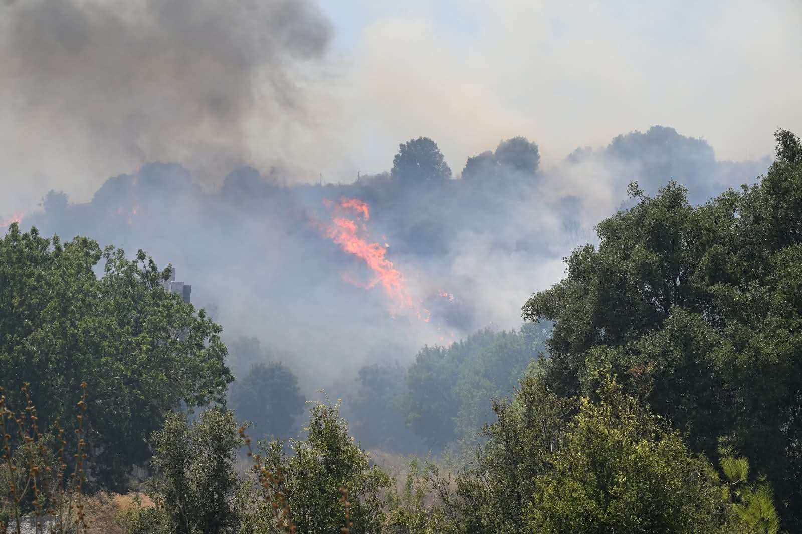 Yozgat Valiliği’nden kritik karar: Ormanlara girişler yasaklandı!