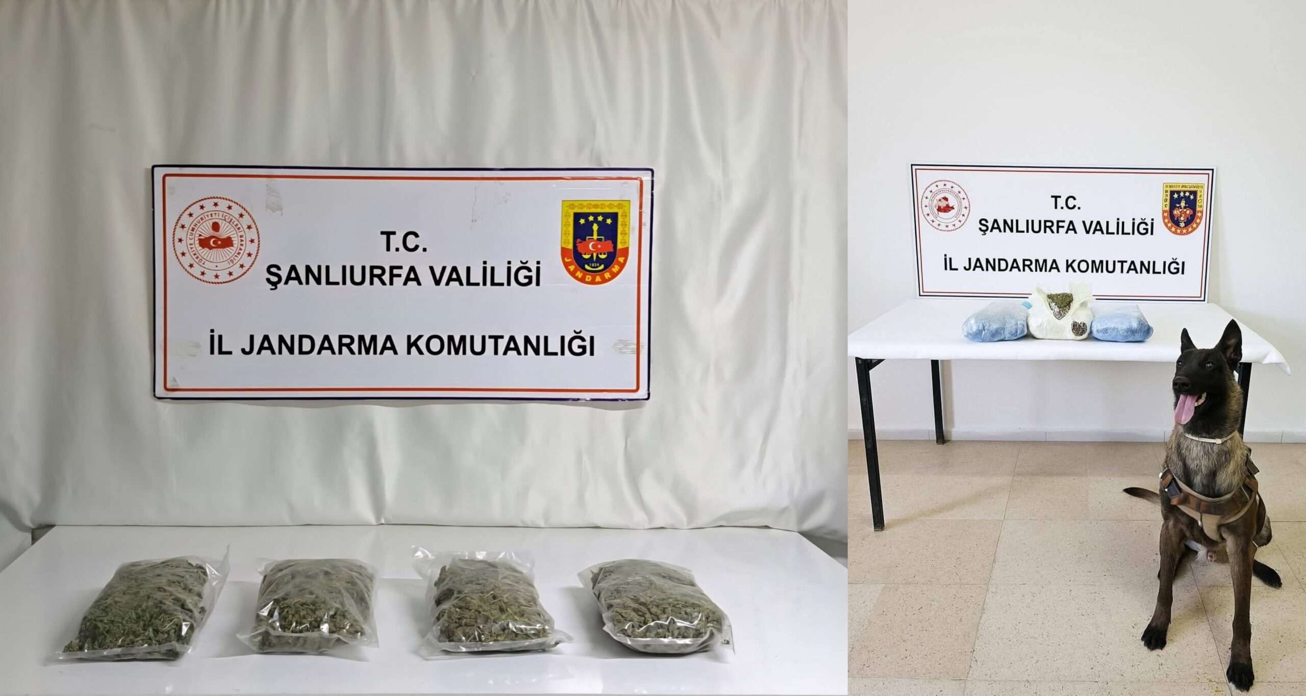 Şanlıurfa’da Narkotik operasyonu: İki araçta kilolarca uyuşturucu yakalandı