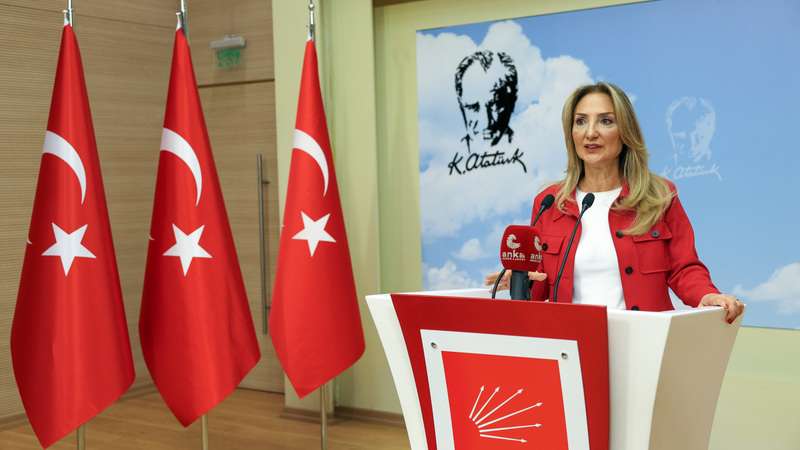 Cezaevindeki F. Pınar Türker’den doğum günü mektubu: “Hediye yerine kız çocuklarını okutun”