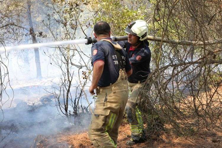 İBB ekipleri Bursa’daki yangınla mücadele için seferber oldu: 60 personel ve 24 araç bölgede