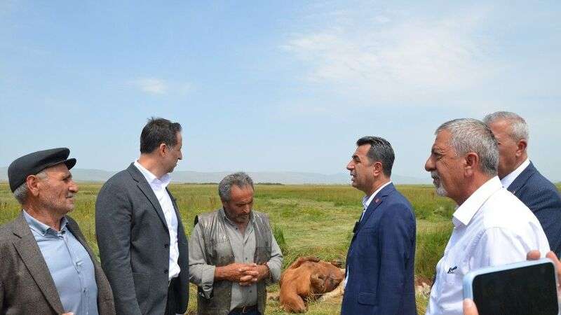 CHP’li Adem’den Bakan Yumaklı’ya ‘Şap Hastalığı’ çağrısı: “Çiftçi diz çökertiyor, Siz hâlâ bakıyorsunuz”