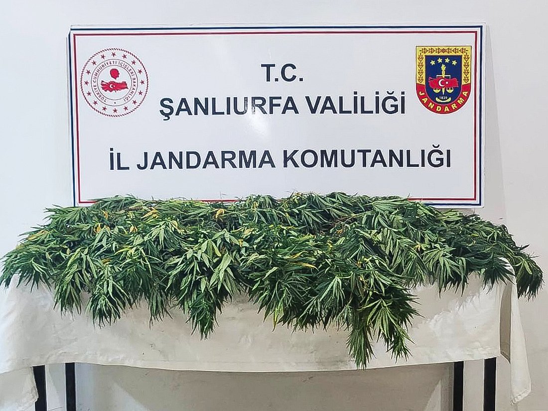 Siverek ve Halfeti’de narkotik operasyonu: 2 bin 652 adet uyuşturucu hap ele geçirildi