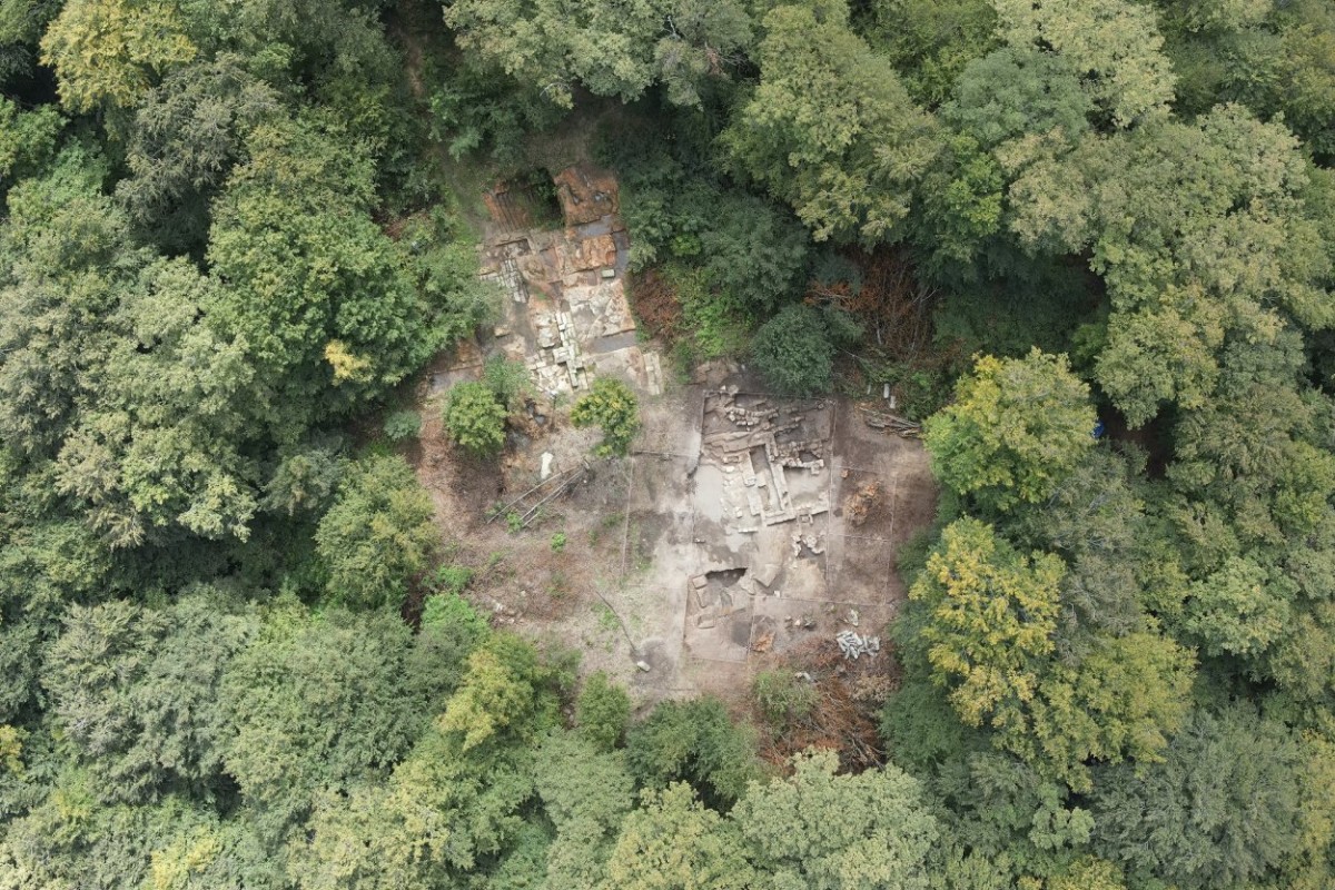 Ordu’da feci olay: Fındık toplarken yamaçtan düşen yaşlı adam hayatını kaybetti