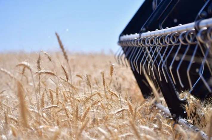 Tarım ve Orman Bakanlığı bitkisel üretim desteklemelerinde düzenlemeye gitti