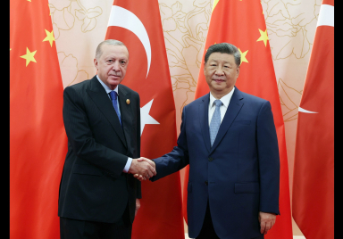 Cumhurbaşkanı Erdoğan, Çin Devlet Başkanı Şi Cinping ile görüştü