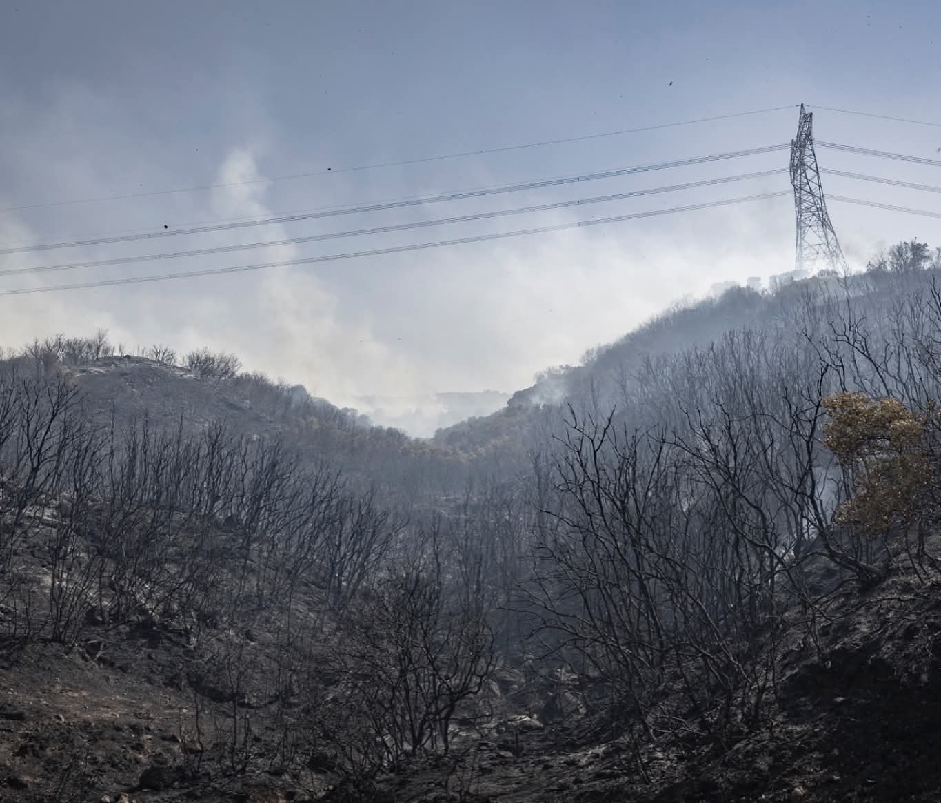 İzmir’de iki orman yangını kontrol altına alındı