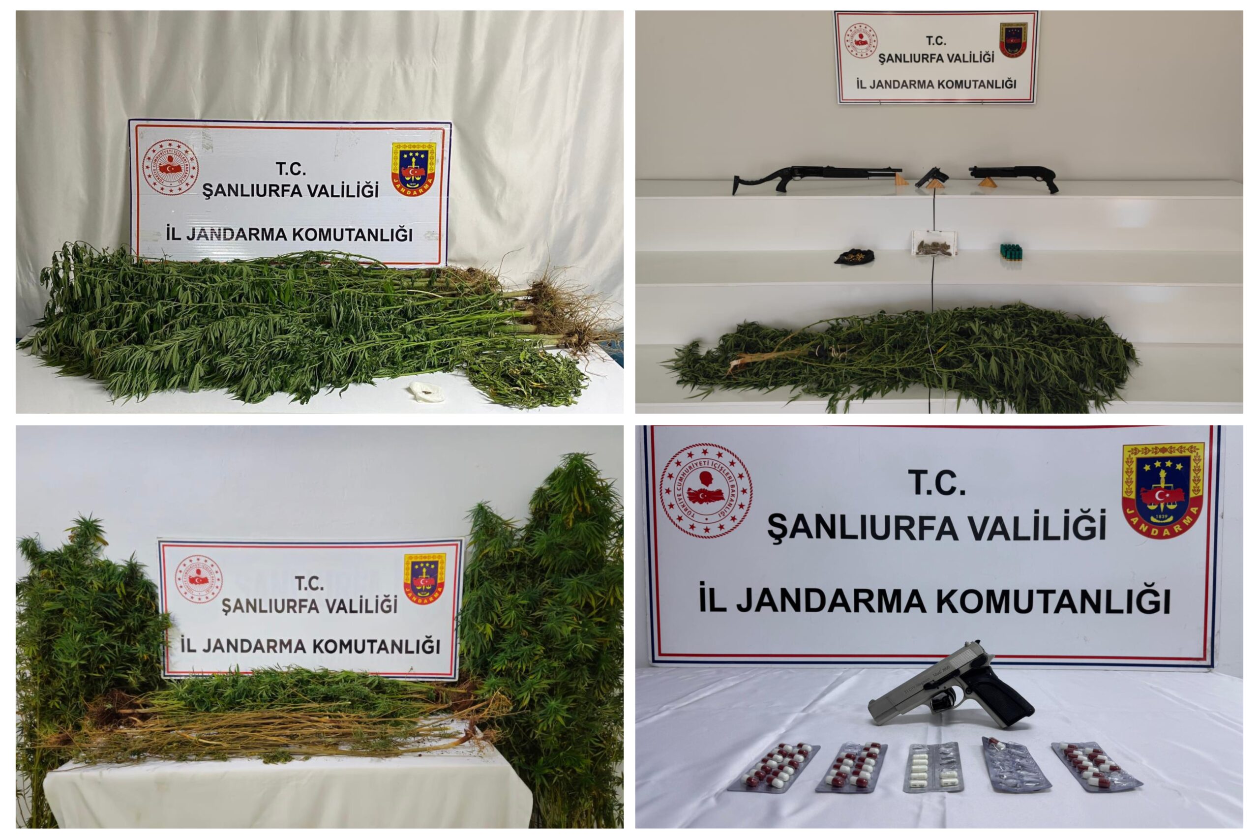 Şanlıurfa’da narkotik operasyonu: Çok sayıda silah ve uyuşturucu ele geçirildi