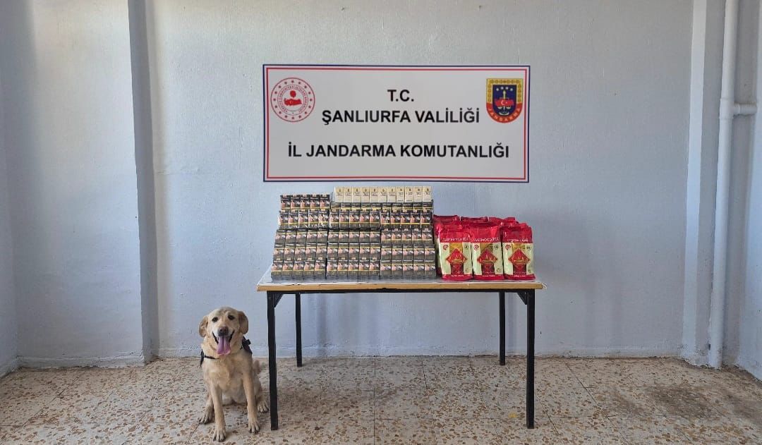 Şanlıurfa’da kaçakçılara “Şok” operasyon: Çok sayıda kaçak malzeme ele geçirildi