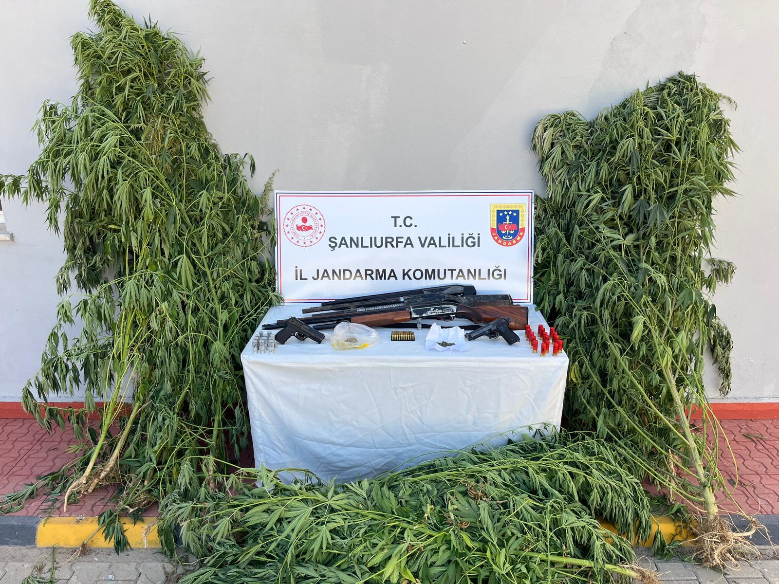 Şanlıurfa’da 6 ilçede narkotik ve silah operasyonu: 6 gözaltı