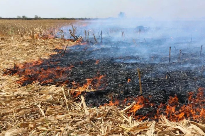 Edirne’de anız yakan 5 kişiye cezai işlem uygulandı