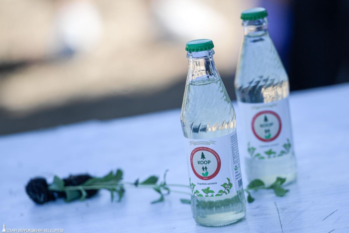 İzmir’de bir ilk: Büyükşehir desteğiyle Kooperatiften ‘Şeker Otu’ gazozu üretildi