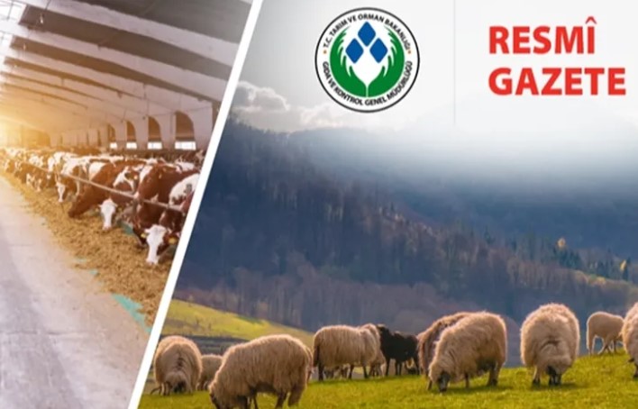 Koyun ve Keçi Yönetmeliği Güncellendi: Taahhütname uygulaması kaldırıldı