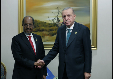 Cumhurbaşkanı Erdoğan, Somali Cumhurbaşkanı Mahmud ile görüştü