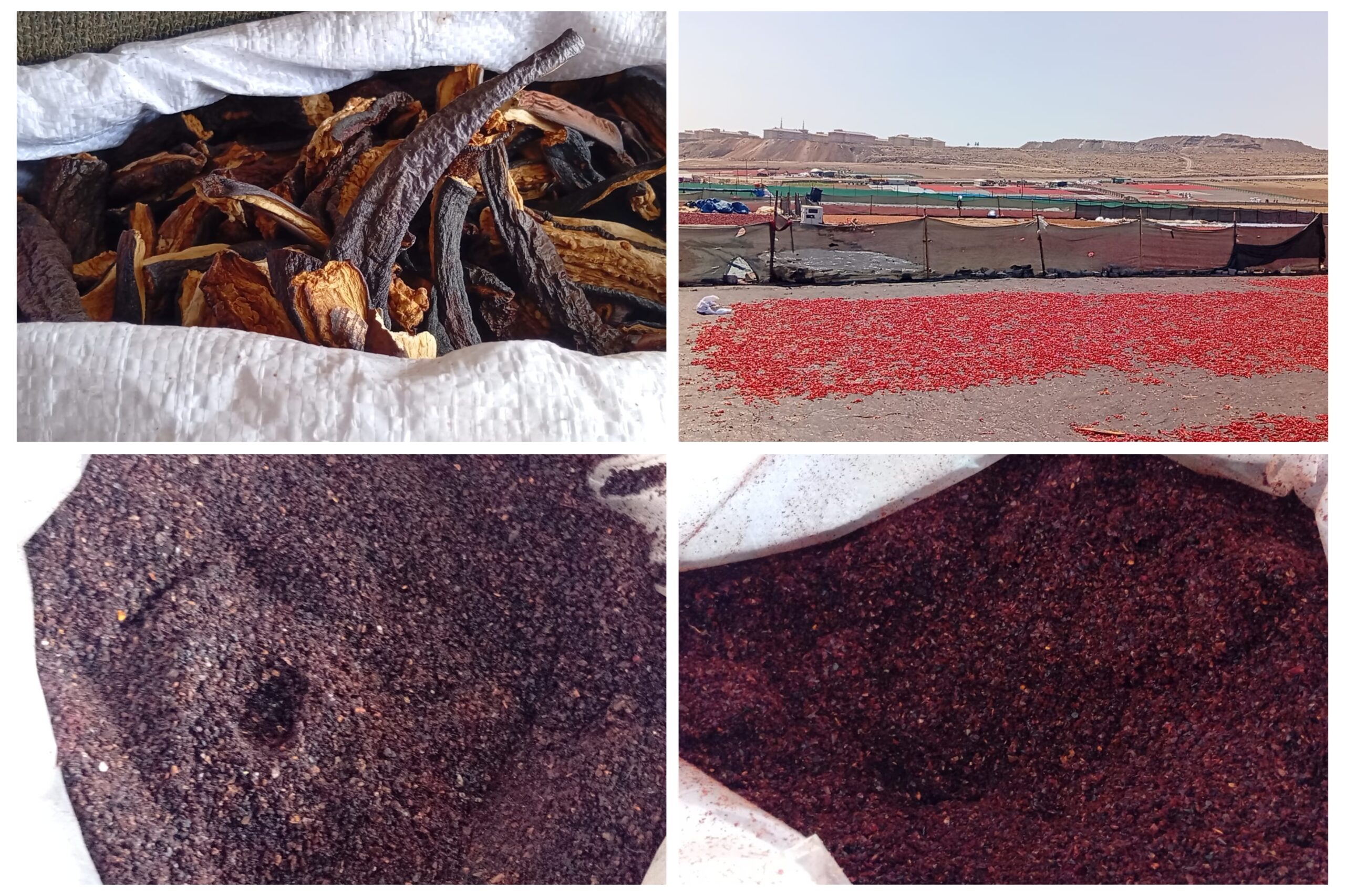 Şanlıurfa’da emekçi kadınlardan çağrı: “Birinci kalite isot ve kurutmalıklar yarı fiyatına, Bize destek olun”