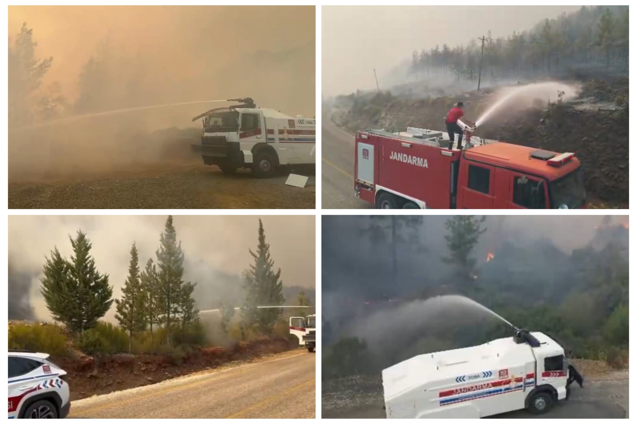 Köyceğiz’deki orman yangınında rüzgarla amansız mücadele sürüyor