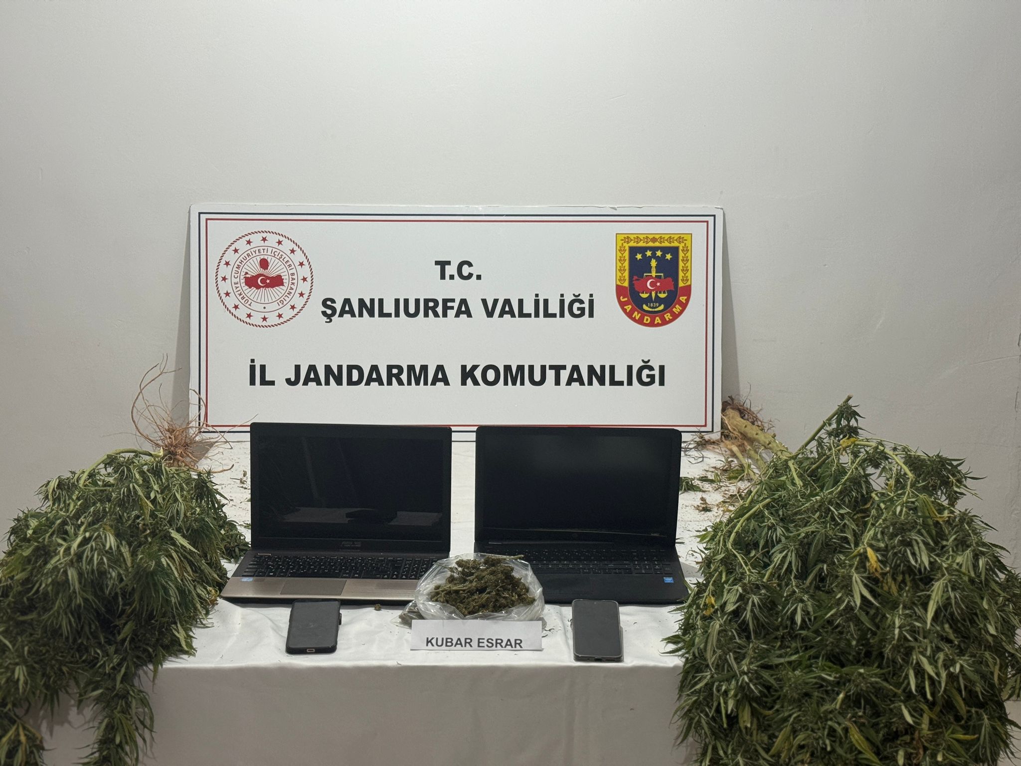 Şanlıurfa’da narkotik operasyonu: 7 kilo skunk ele geçirildi