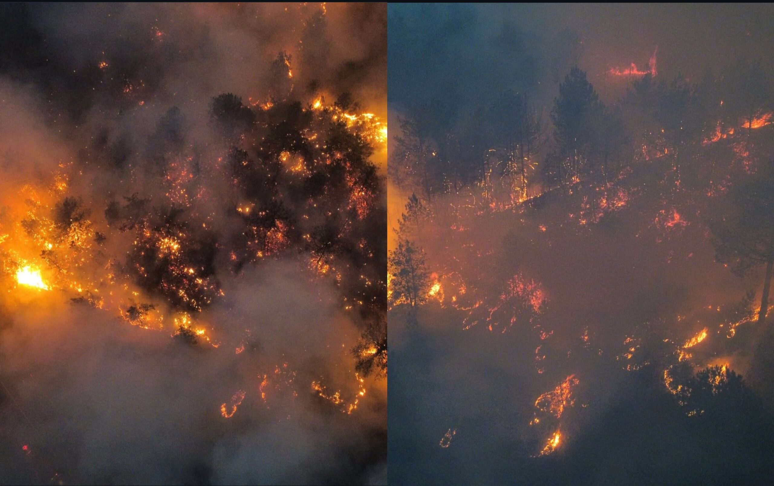Kastamonu ve Karabük’teki yangınlara müdahale sürüyor: AFAD Başkanı Bölgede