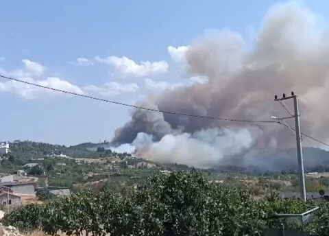 Bursa Osmangazi’de orman yangını! Havadan ve Karadan yoğun müdahale sürüyor