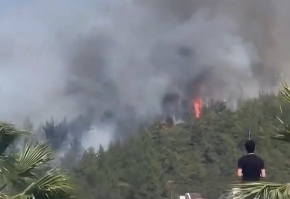 Muğla Bodrum’da orman yangını! Ekipler havadan ve karadan müdahale ediyor