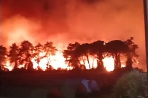 Antalya Aksu’da gece yarısı orman yangını