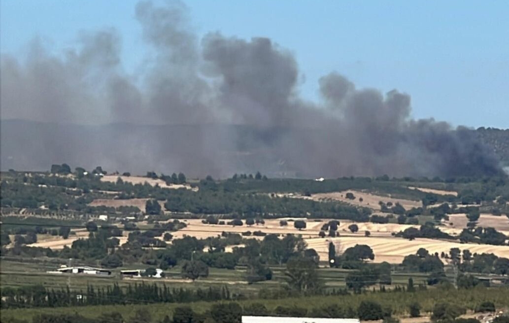 Çanakkale’de zeytinlikte başlayan yangın ormana sıçradı