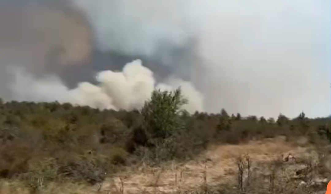 Karabük’teki Orman Yangını Büyük Ölçüde Kontrol Altına alındı