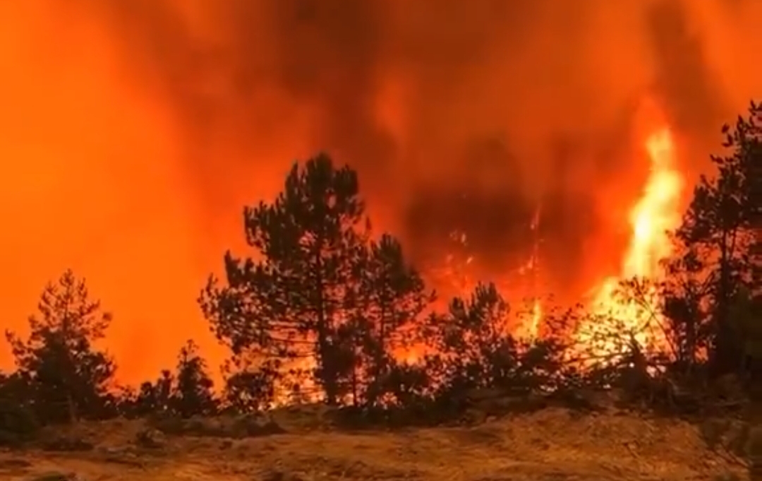 Alevler Ankara’ya ulaştı: Kastamonu yangınının bilançosu ağır oldu