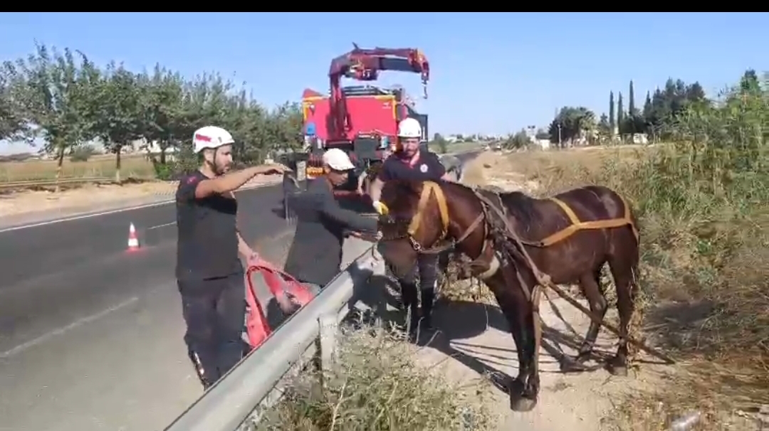 Şanlıurfa’da kanala düşen at, İtfaiye ekiplerince kurtarıldı