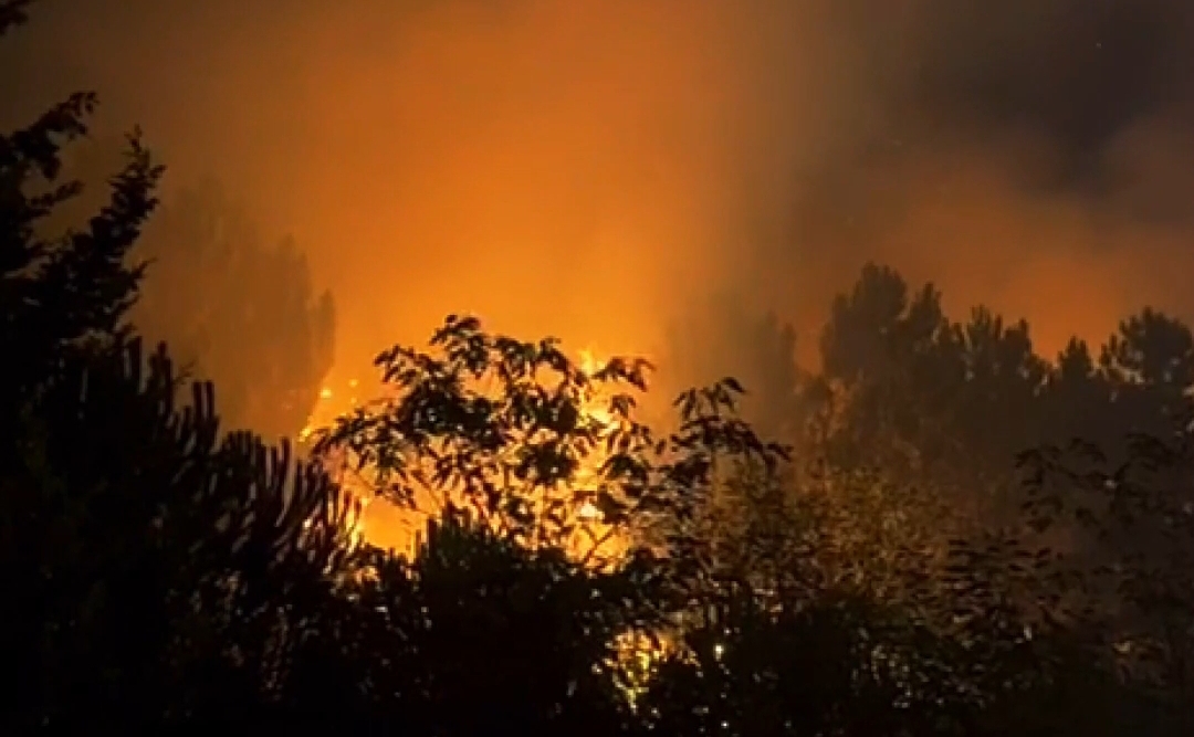İstanbul Beykoz’da orman yangını!