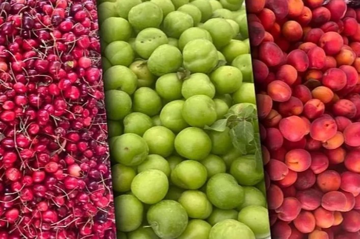 Tarım-ÜFE’de yıllık zirve meyvelerde, Aylık düşüş tropiklerde