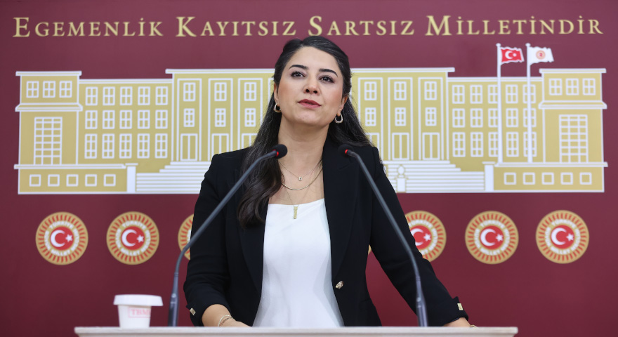 DEM Partili Ayan’dan Şanlıurfa raporu: “Kadın doğum hastanesi yetersiz, Okullarda öğretmen açığı var”