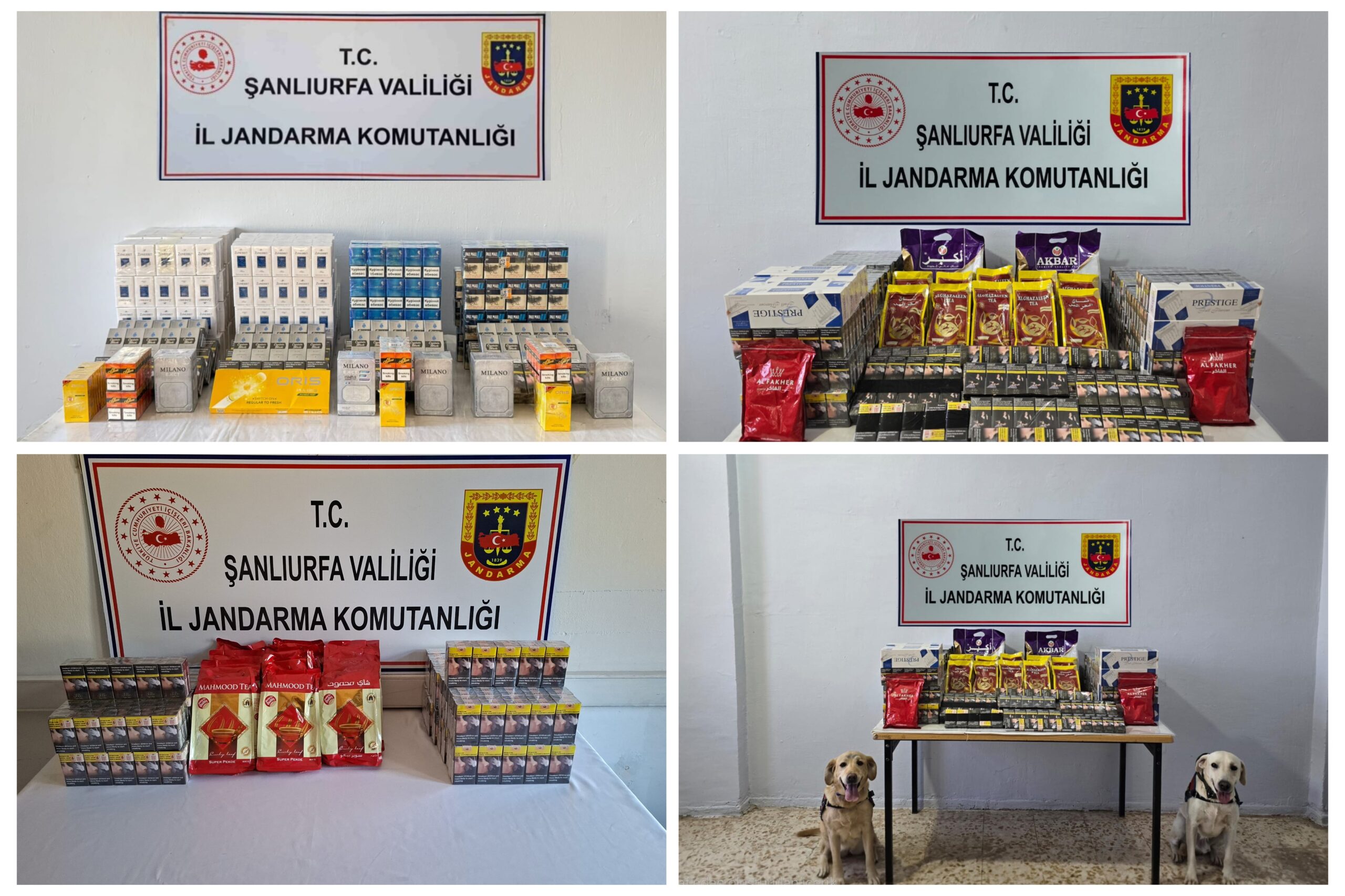 Şanlıurfa’da iki günde binlerce paket kaçak sigara ele geçirildi
