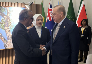 Cumhurbaşkanı Erdoğan, DSÖ Genel Direktörü Ghebreyesus’u kabul etti