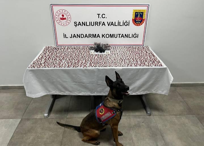 Şanlıurfa’da uyuşturucu operasyonu: 2 gözaltı