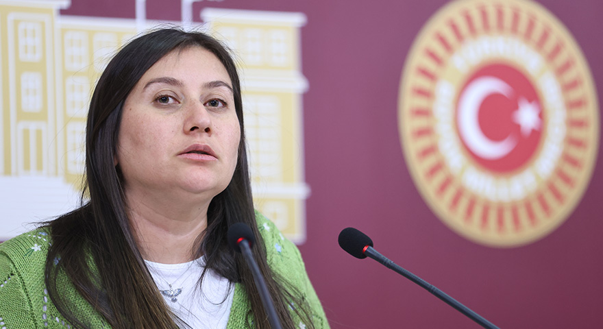 DEM Partili Çubuk’tan 25 Kasım mesajı: “Şiddetsiz, huzur ve barış dolu yıllar temenni ediyorum”